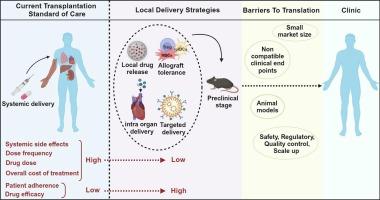 Drug delivery strategies for local immunomodulation in transplantation: Bridging the translational gap