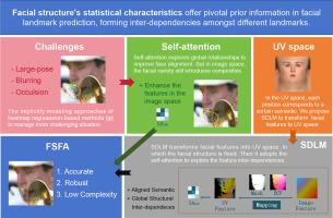 Learning facial structural dependency in 3D aligned space for face alignment