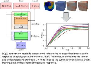 Equivariant graph convolutional neural networks for the representation of homogenized anisotropic microstructural mechanical response