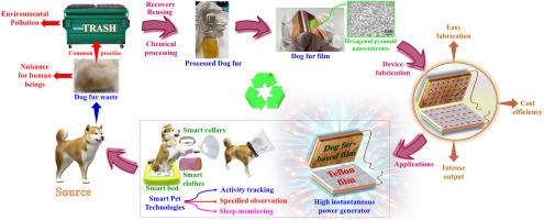 Utilization of the easy electron-losing capacity of dog fur waste for green energy devices and self-powered smart pet care systems