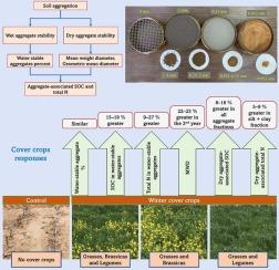 Cover cropping enhanced soil aggregation and associated carbon and nitrogen storage in semi-arid silage cropping systems