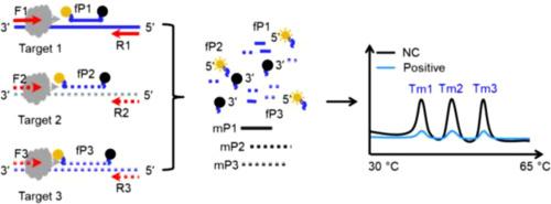 A multiple method for sensitively detecting 17 highly infectious bacteria and viruses with distinguished melting peaks