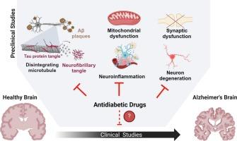 Repurposing antidiabetic drugs for Alzheimer's disease: A review of preclinical and clinical evidence and overcoming challenges