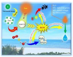 Enhanced sunlight-driven photocatalysis of non-metal doped zinc oxide via wet impregnation for the removal of organic compounds