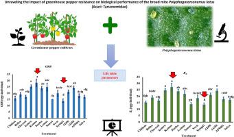 Unraveling the impact of greenhouse pepper resistance on biological performance of the broad mite Polyphagotarsonemus latus (Acari: Tarsonemidae)