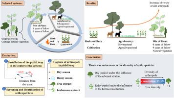 The diversity of soil-dwelling arthropods is significantly influenced by land use systems with tree cover in semiarid conditions