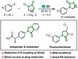 Nickel-catalysed reductive C–N bond cross-coupling between aryl halides and N-chloroamides†