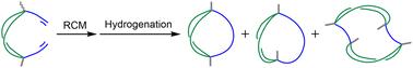 Ring-closing metathesis of dialkenylcycloalkanes for the synthesis of fused bicycloalkanes and tricycloalkanes†