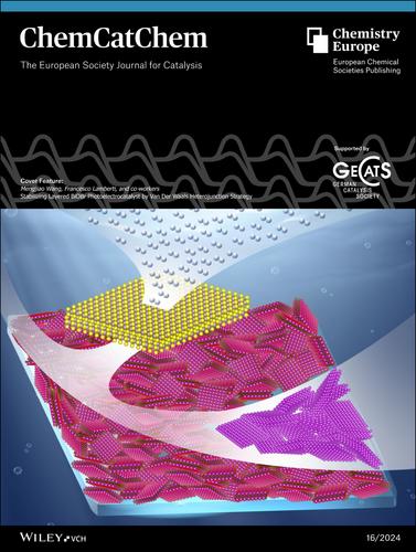 Cover Feature: Stabilizing Layered BiOBr Photoelectrocatalyst by Van Der Waals Heterojunction Strategy (ChemCatChem 16/2024)