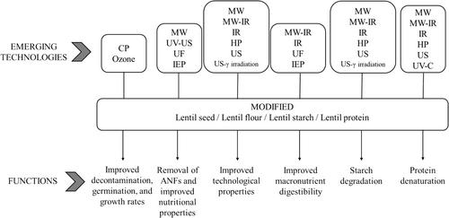 Versatile Functions of Raw and Modified Lentils/Lentil Components in Food Applications: A Review