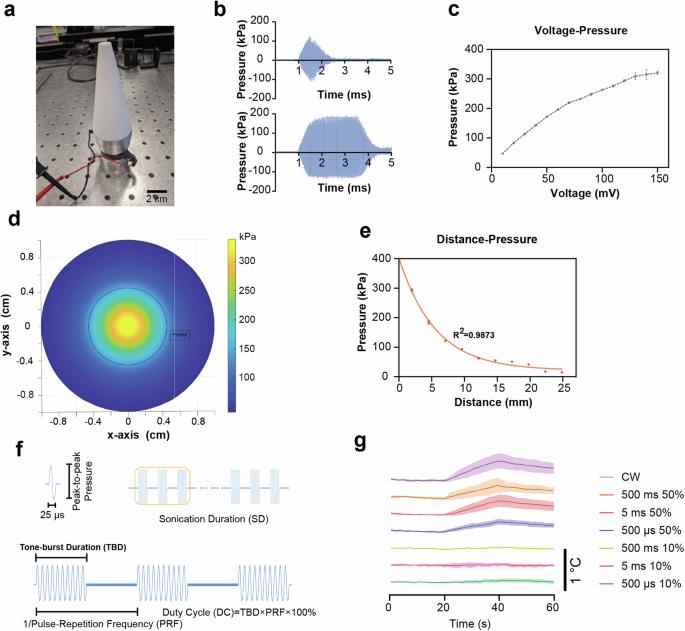 Low frequency ultrasound elicits broad cortical responses inhibited by ketamine in mice