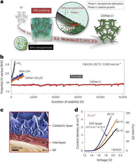 A structured catalyst for anion exchange membrane water electrolysis