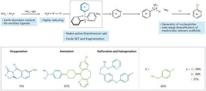 Harnessing electron-rich arenes in nickel photoredox catalysis