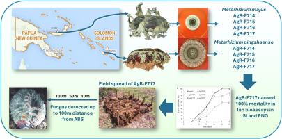 Characterization and screening of new Metarhizium isolates to control the coconut rhinoceros beetle in the Pacific islands