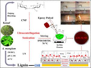 A sustainable in situ synthesis of hydrophobic tung oil epoxy bifunctional nanocomposites with potential fire retardant and antioxidant properties