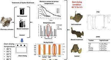 Investigating the impact of blanching and salt treatment on the drying kinetics of oyster mushrooms