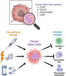 Cancer Stem Cell markers: Symphonic masters of chemoresistance and immune evasion