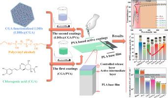 Development of polyvinyl alcohol based active inner coating reinforced with chlorogenic acid and functionalized layered clay for food packaging