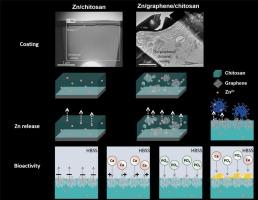 Role of graphene in bactericidal activity and bioactivity of a Zn/graphene/chitosan coating