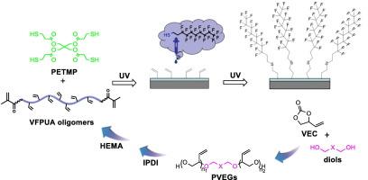 Synthesis of vinyl functionalized polyurethane acrylate oligomers and their photopolymerization via thiol-ene click reaction