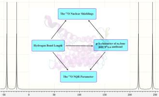 Theoretical investigation of the effects of diverse hydrogen-bonding characteristics on the 17O chemical shielding and electric field gradient tensors within the active sites of MraYAA bound to nucleoside antibiotics capuramycin, carbacaprazamycin, 3′-Hydroxymureidomycin A, and muraymycin D2