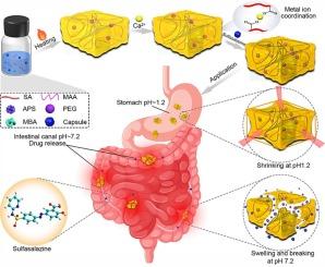 Alginate/methacrylic acid/calcium ion-based pH-sensitive drug delivery hydrogel for the treatment of ulcerative colitis