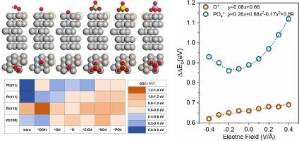 Factors influencing the stability of Pt-based ORR electrocatalysts in HT-PEMFCs: A theoretical investigation