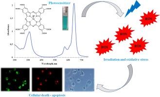 Gallium octacarboxyphthalocyanine hydroxide as a potential pro-apoptotic drug against cancer skin cells