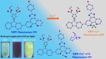 A novel fluorescent probe with high sensitivity and selectivity for “On-Off-On” sensors for Cu2+ cations and CN− anions