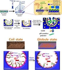 Pore-selective immobilization of pH-sensitive polymer and glucose oxidase in the porous polyimide film for detection of glucose