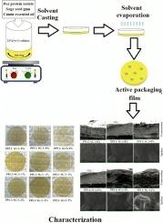 Biodegradable active composite film based on pea protein isolate, sage seed gum, and cumin essential oil: Fabrication and characterization