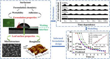 Regulation mechanism of droplets wetting on banana leaf surface and its dynamic contact angle wetting model