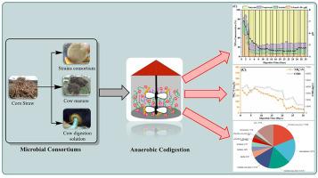 High value-added chemical production through anaerobic codigestion of corn straw with a microbial consortium, cow manure and cow digestion solution