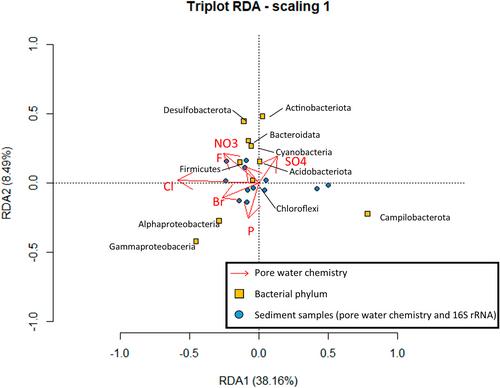 Deciphering microbial communities involved in marine steel corrosion using high-throughput amplicon sequencing