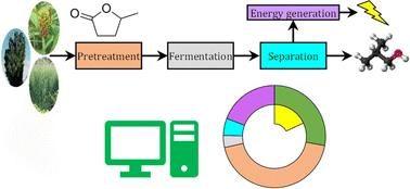 On the synthesis of biorefineries for high-yield isobutanol production: from biomass-to-alcohol experiments to system level analysis†