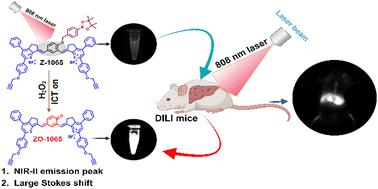A novel NIR-II fluorescent probe for hydrogen peroxide detection in drug-induced liver injury†