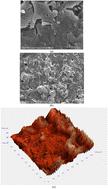 Synthesis of hydrogels based on sterculia gum-co-poly(vinyl pyrrolidone)-co-poly(vinyl sulfonic acid) for wound dressing and drug-delivery applications