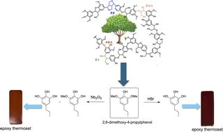 Multi-functional syringol based epoxides and properties of their thermoset polymers