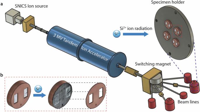 Silicon ion radiation as a viable surrogate for emulating neutron radiation damage in silicates