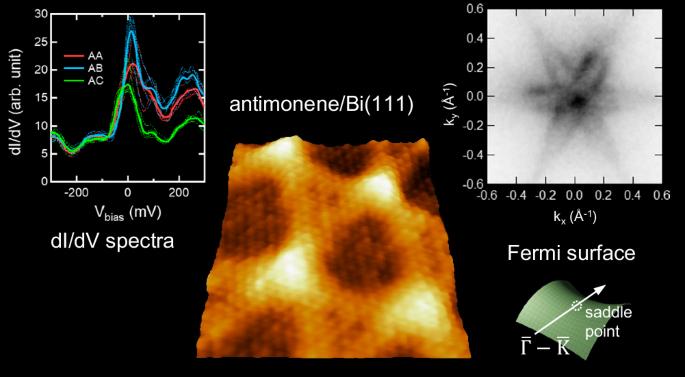 Moiré superlattices of antimonene on a Bi(111) substrate with van Hove singularity and Rashba-type spin polarization