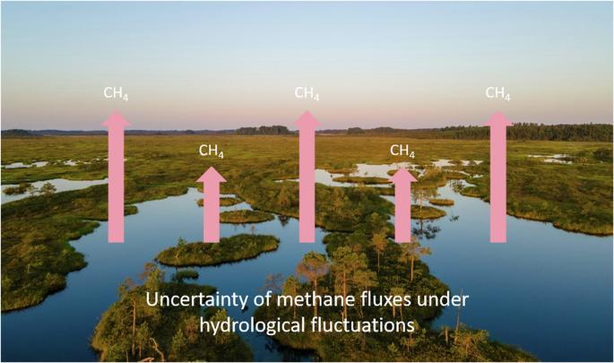 Wetland hydrological dynamics and methane emissions