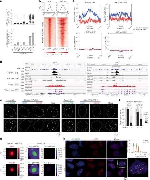 Mechanism for controlled assembly of transcriptional condensates by Aire