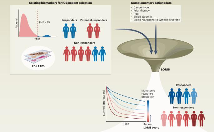 Enhanced precision in immunotherapy