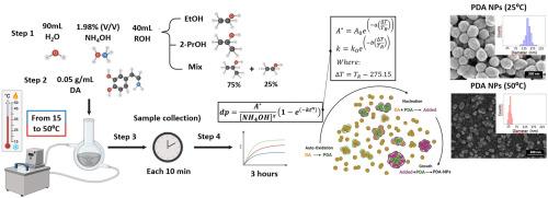 Understanding the growth kinetics of polydopamine nanoparticles as a function of the temperature and the type of alcohol used as solvent media in their polymerization