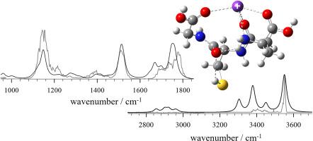 Structures and unimolecular chemistry of alkali metal cation complexes with glutathione in the gas phase