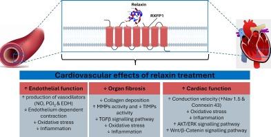 Therapeutic potential of relaxin or relaxin mimetics in managing cardiovascular complications of diabetes