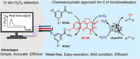 A H2O2 generation-detection-regulation integrated platform for boosting the efficiency of peroxygenase-catalysed C–H oxidative hydroxylation