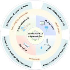 Harnessing the power of artificial intelligence for human living organoid research