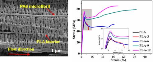 Constructing In situ microfibrillar PA6/PLA composites with high strength and high toughness by a strong shear flow field