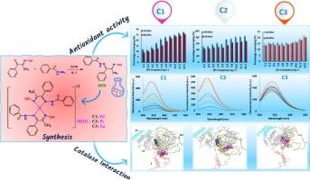 Effect of central metal ion on some pharmacological properties of new Schiff base complexes. Anticancer, antioxidant, kinetic/thermodynamic and computational studies